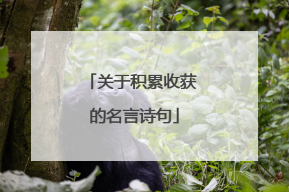 关于积累收获的名言诗句