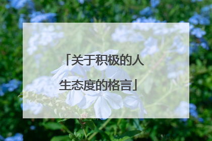 关于积极的人生态度的格言