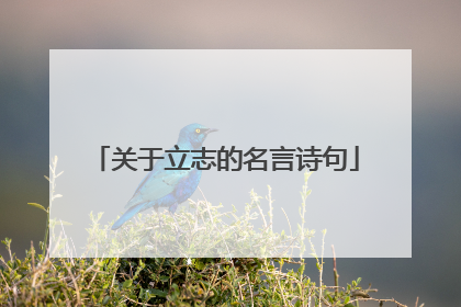 关于立志的名言诗句