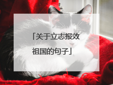 关于立志报效祖国的句子