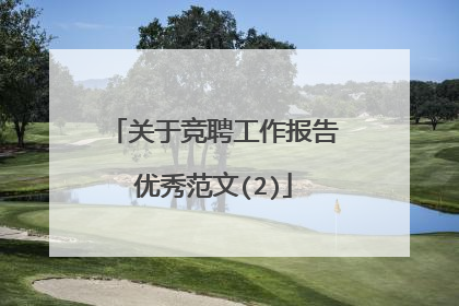 关于竞聘工作报告优秀范文(2)