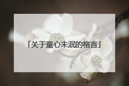 关于童心未泯的格言