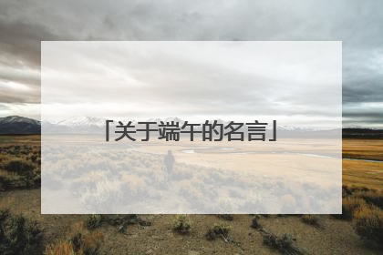 关于端午的名言