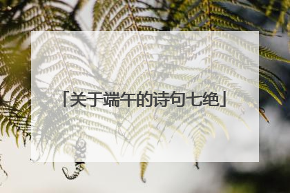 关于端午的诗句七绝