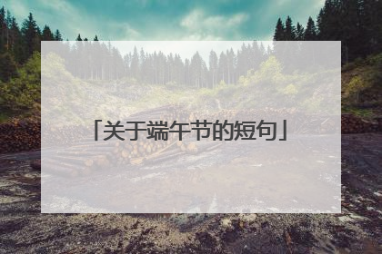 关于端午节的短句