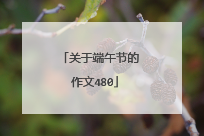 关于端午节的作文480