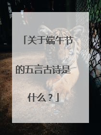 关于端午节的五言古诗是什么？