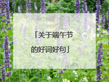 关于端午节的好词好句