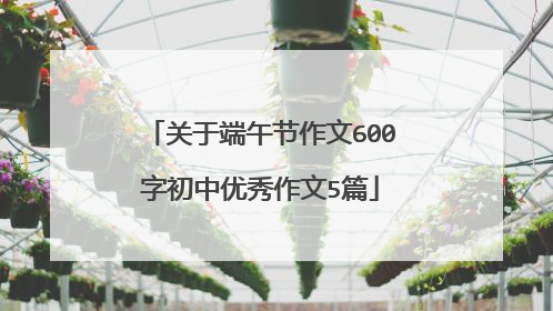 关于端午节作文600字初中优秀作文5篇