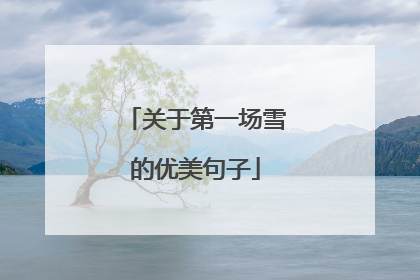 关于第一场雪的优美句子