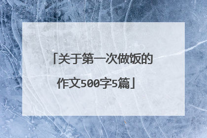 关于第一次做饭的作文500字5篇