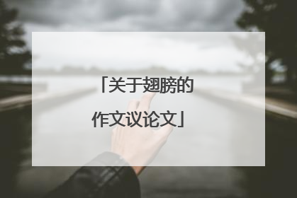 关于翅膀的作文议论文