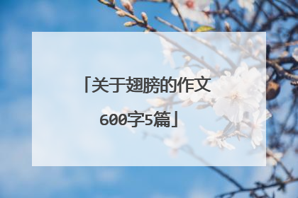 关于翅膀的作文600字5篇