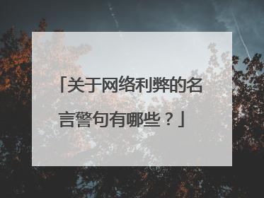 关于网络利弊的名言警句有哪些？