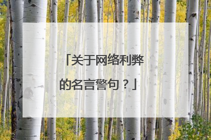 关于网络利弊的名言警句？