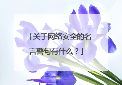 关于网络安全的名言警句有什么?