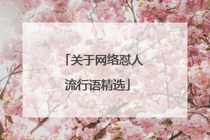 关于网络怼人流行语精选