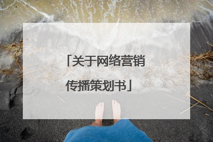 关于网络营销传播策划书
