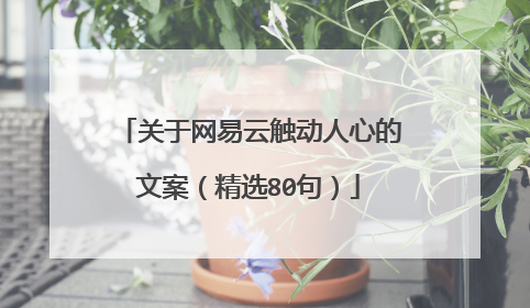 关于网易云触动人心的文案(精选80句)