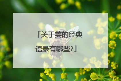 关于美的经典语录有哪些?