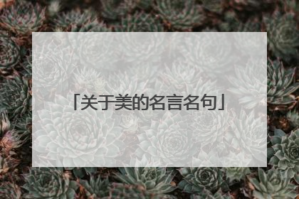 关于美的名言名句