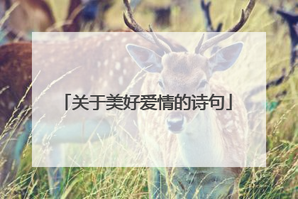 关于美好爱情的诗句