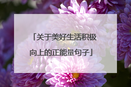 关于美好生活积极向上的正能量句子