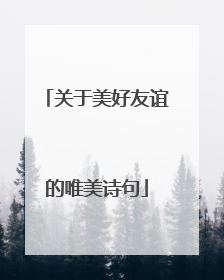 关于美好友谊的唯美诗句