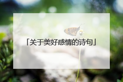 关于美好感情的诗句