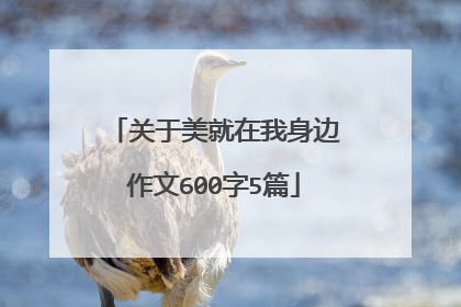 关于美就在我身边作文600字5篇