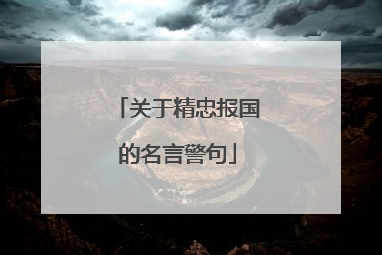 关于精忠报国的名言警句