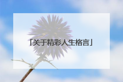 关于精彩人生格言