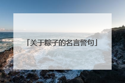 关于粽子的名言警句