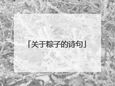 关于粽子的诗句