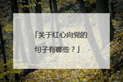关于红心向党的句子有哪些？