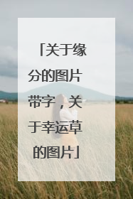 关于缘分的图片带字,关于幸运草的图片