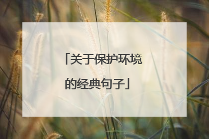 关于保护环境的经典句子