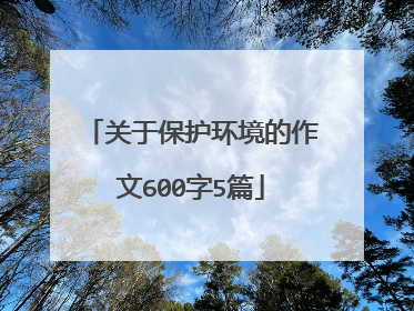 关于保护环境的作文600字5篇