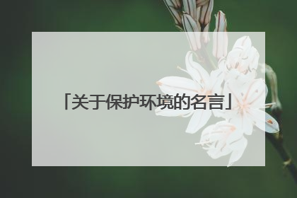 关于保护环境的名言