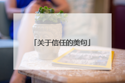 关于信任的美句