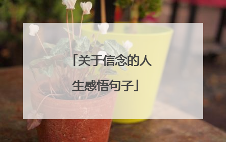 关于信念的人生感悟句子