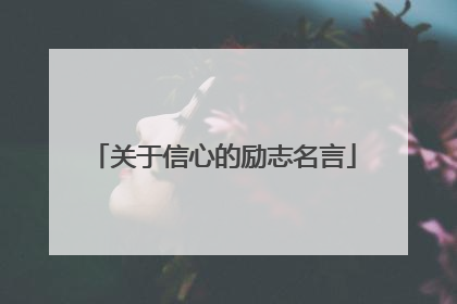 关于信心的励志名言