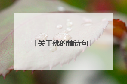 关于佛的情诗句