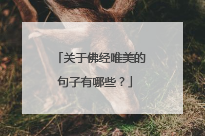 关于佛经唯美的句子有哪些？