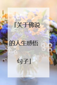 关于佛说的人生感悟句子