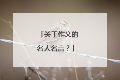 关于作文的名人名言？