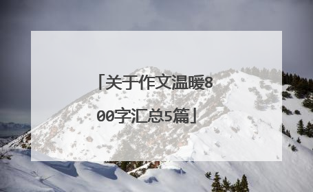 关于作文温暖800字汇总5篇