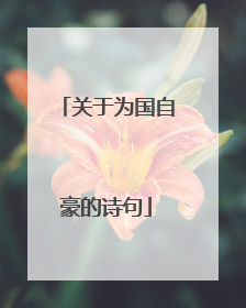 关于为国自豪的诗句