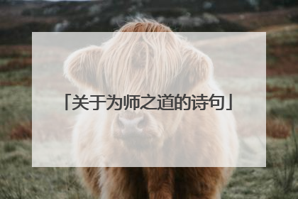 关于为师之道的诗句