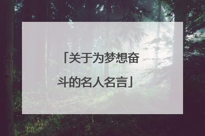 关于为梦想奋斗的名人名言